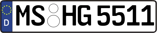 MS-HG5511