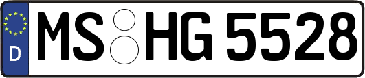 MS-HG5528