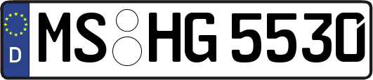 MS-HG5530
