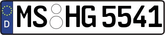 MS-HG5541