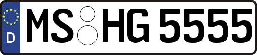 MS-HG5555