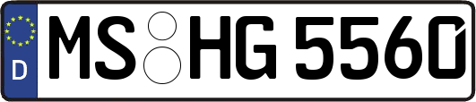 MS-HG5560