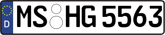 MS-HG5563