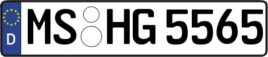 MS-HG5565