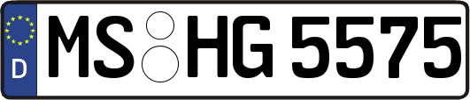MS-HG5575