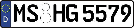 MS-HG5579