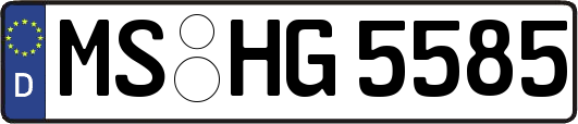 MS-HG5585