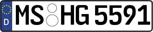 MS-HG5591