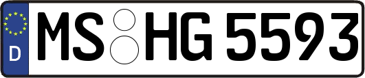 MS-HG5593