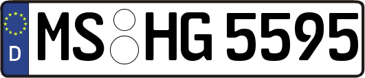 MS-HG5595