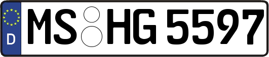 MS-HG5597