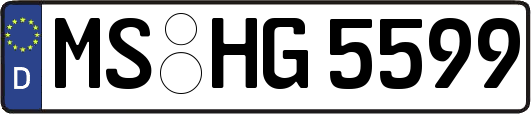 MS-HG5599