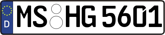 MS-HG5601