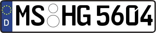 MS-HG5604