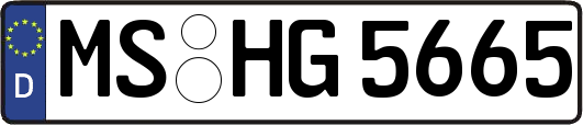 MS-HG5665