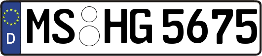 MS-HG5675