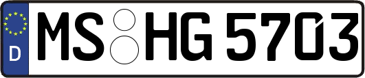 MS-HG5703