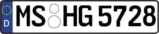 MS-HG5728