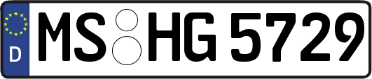 MS-HG5729