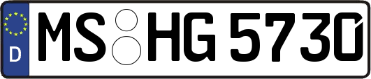 MS-HG5730