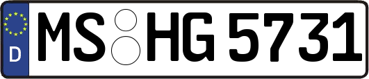 MS-HG5731