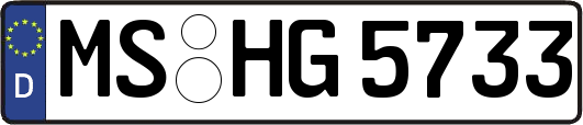 MS-HG5733