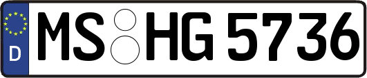MS-HG5736