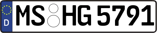 MS-HG5791