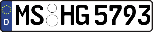 MS-HG5793