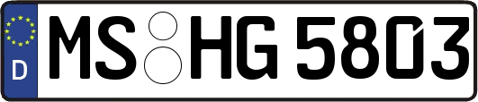 MS-HG5803
