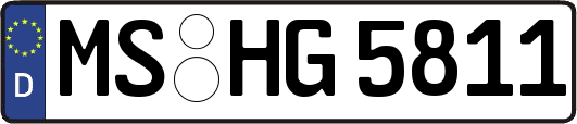 MS-HG5811
