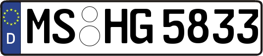 MS-HG5833