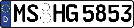 MS-HG5853