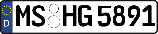 MS-HG5891