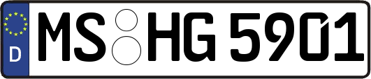 MS-HG5901