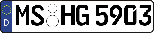 MS-HG5903