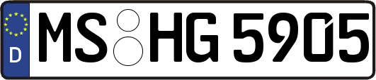 MS-HG5905