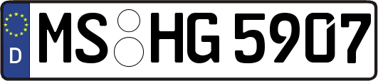 MS-HG5907