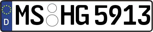 MS-HG5913