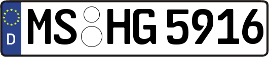 MS-HG5916