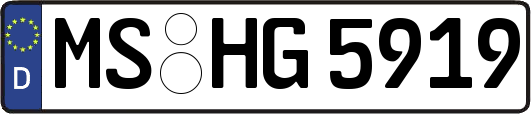 MS-HG5919