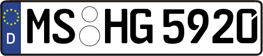 MS-HG5920