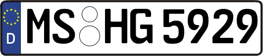 MS-HG5929