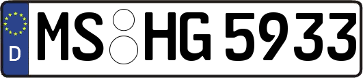 MS-HG5933