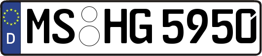 MS-HG5950