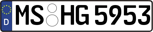 MS-HG5953