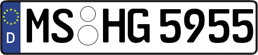 MS-HG5955