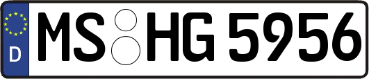 MS-HG5956
