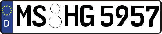 MS-HG5957