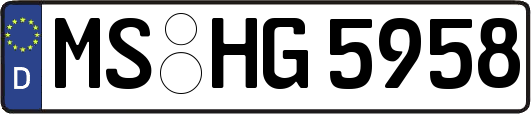 MS-HG5958